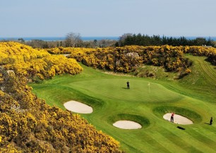 Druids Heath Golf  | Golfové zájezdy, golfová dovolená, luxusní golf