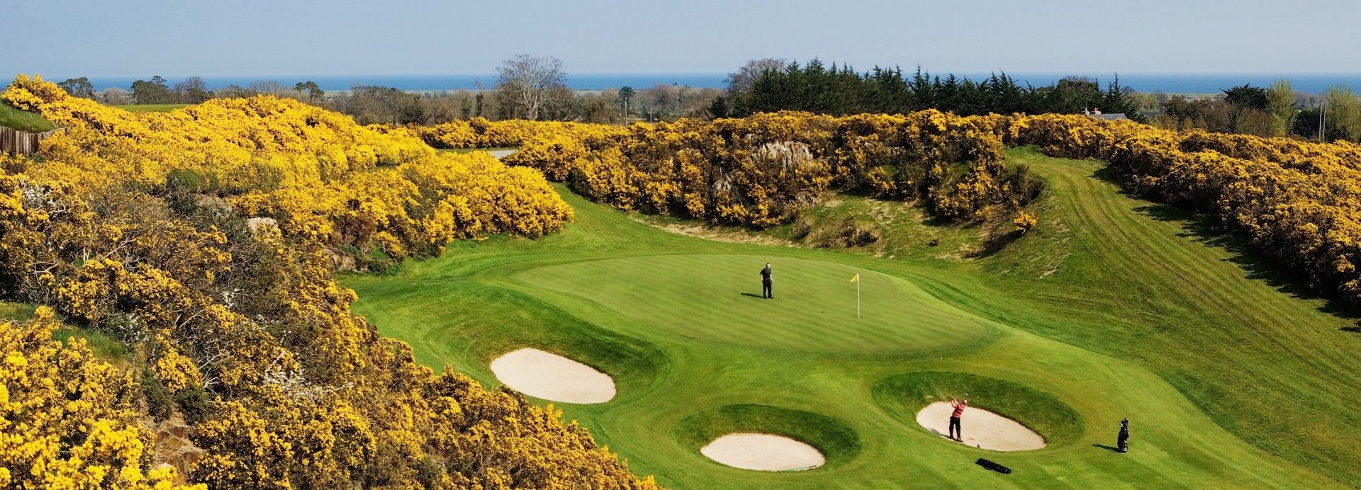 Druids Heath Golf  | Golfové zájezdy, golfová dovolená, luxusní golf