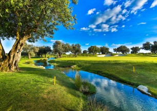 Quinta de Cima Golf Course