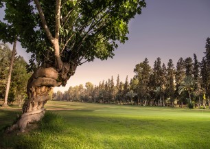 Royal Golf Marrakech<span class='vzdalenost'>(15 km od hotelu)</span>