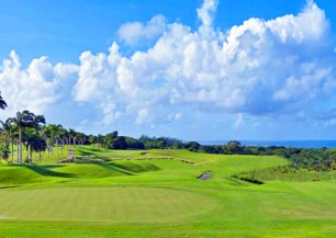 Royal Westmoreland Golf<span class='vzdalenost'>(3 km od hotelu)</span>