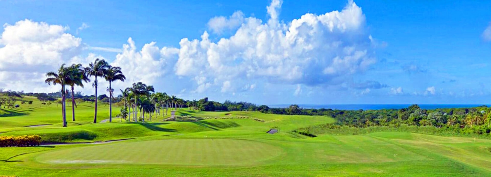 Royal Westmoreland Golf  | Golfové zájezdy, golfová dovolená, luxusní golf
