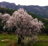 XX La Galiana Golf | Golfové zájezdy, golfová dovolená, luxusní golf