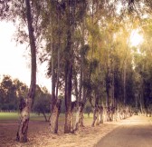 Royal Golf Marrakech | Golfové zájezdy, golfová dovolená, luxusní golf