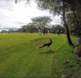 Great Rift Valley Golf Club | Golfové zájezdy, golfová dovolená, luxusní golf