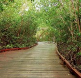 Playa Mujeres Golf Club | Golfové zájezdy, golfová dovolená, luxusní golf