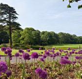 Fota Island Golf1