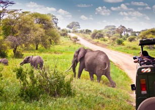 SAFARI V TANZÁNII + RELAX NA ZANZIBARU  S ČESKÝM PRŮVODCEM  | Golfové zájezdy, golfová dovolená, luxusní golf