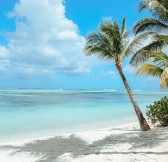 MAURITIUS_-_PARADISE_BEACHCOMBER_18