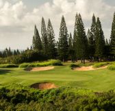 Havaj-Maui-The-Ritz-Carlton-Maui-Kapalua-golf-5