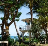 Thajsko-Oahu-Turtle-Bay-Resort-25