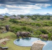 Jar-Gondwana-Private-Game-Reserve-1