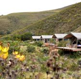 Jar-Gondwana-Private-Game-Reserve-10