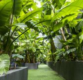 TURECKO - MAXX ROYAL KEMER 105