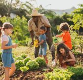 MAURITIUS - HERITAGE LE TELFAIR GOLF - POTAGER-4
