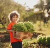 MAURITIUS - HERITAGE LE TELFAIR GOLF - TIMOMO-CBO-POTAGER-3
